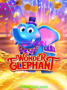 WonderElephant